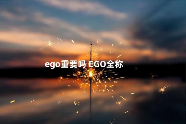 ego重要吗 EGO全称